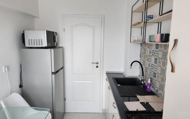 Apartament 3 camere Palas