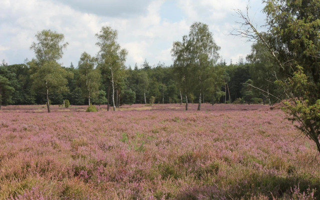 Vakantiehuis NamaStee