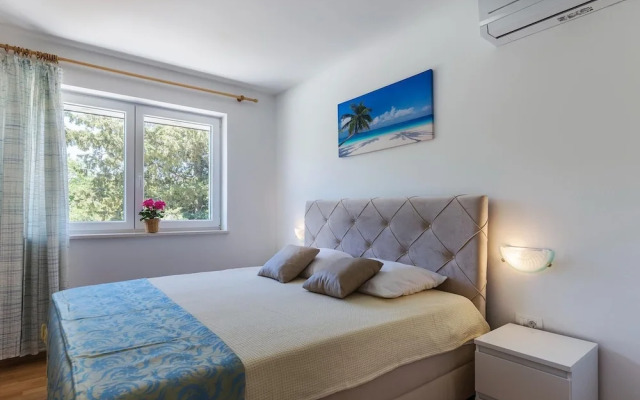 Large Holiday Home With Swimming Pool