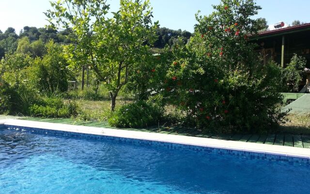 Sun Dalyan & Yeni Adet Organic Hotel