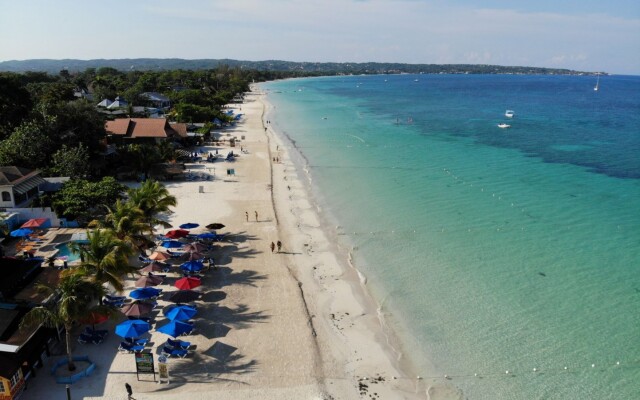 Negril Palms