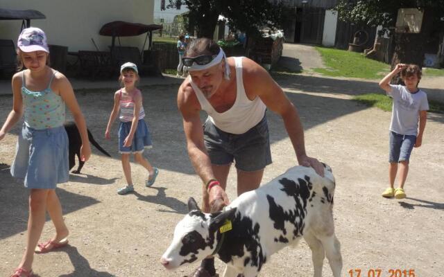 Gasthof Pension Rabl