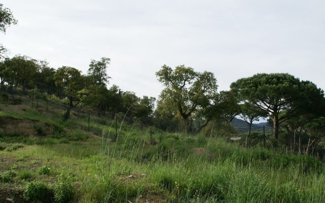 Soothing Holiday Home in Sainte-maxime With Swimming Pool