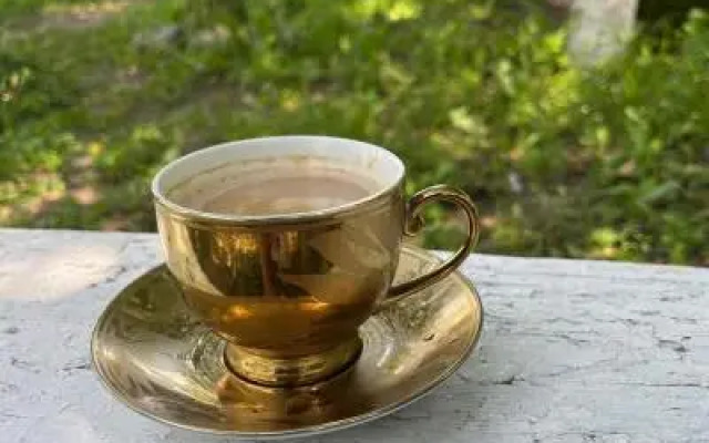 Rossi Rest House By The River