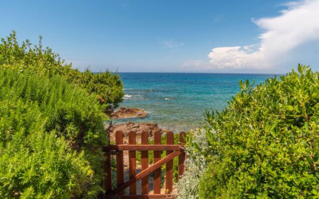 Locazione Turistica Sassicaia