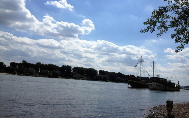 Köln City Apartments