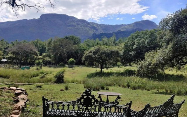 Jungle Retreat Masinagudi