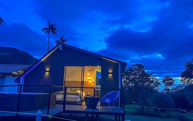 Bosques de Cocora Donde Juan B