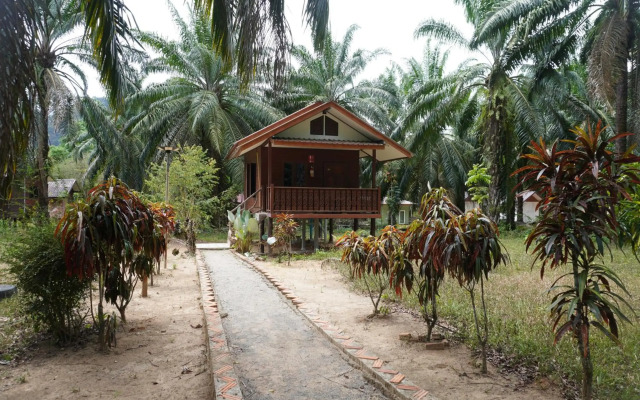 Khaosok Palmview