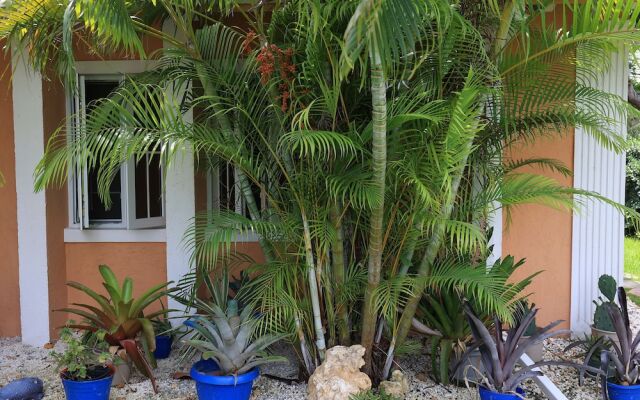 Coconut Palm Hideaway