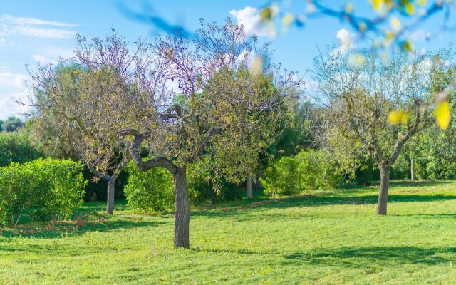 Vista Alegre - Villa With Private Pool In Manacor