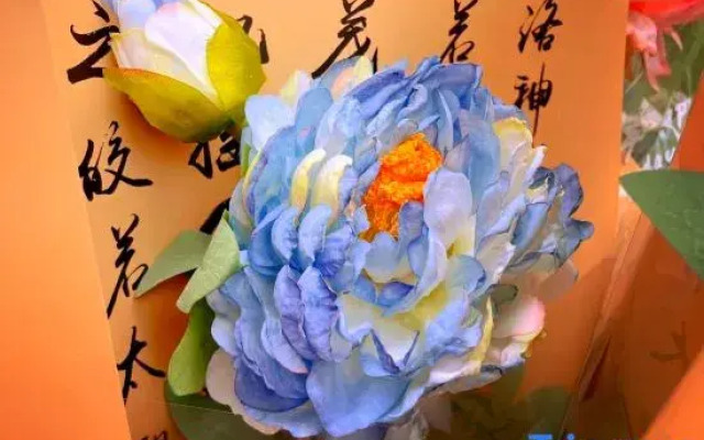 Joyful Nest Luoyang