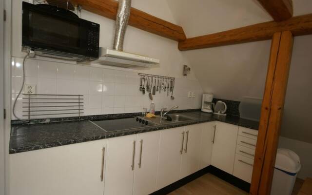 Modern Apartment in Vidochov With Swimming Pool