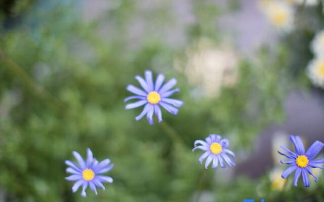 Tiancun Inn (Lijiang Shuhe Ancient Town)