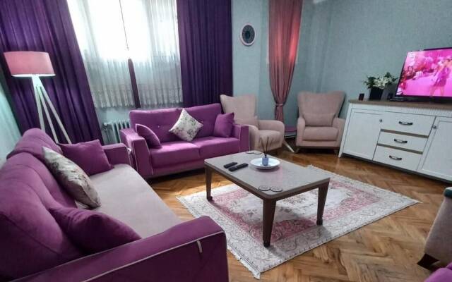 Grand Appartement 2-1