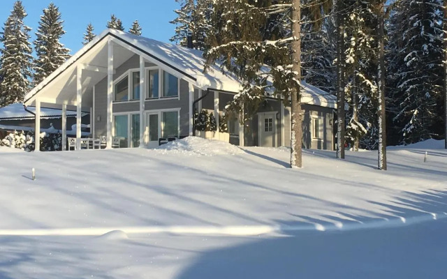 Villa koivula
