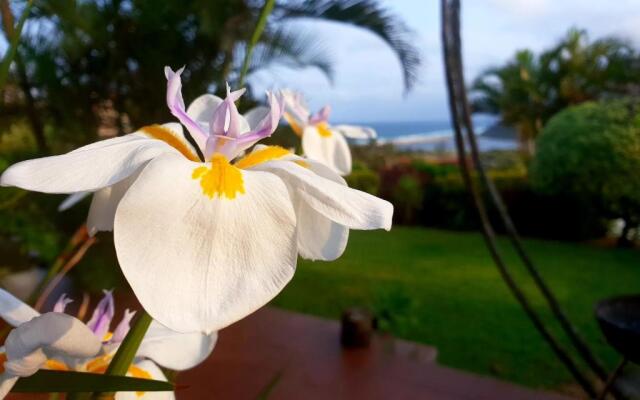 Villa La Mercy Guest Suite