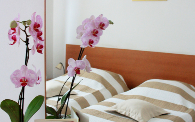 Hotel Dujam