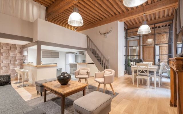 Very Comfortable Loft in Croix-rousse