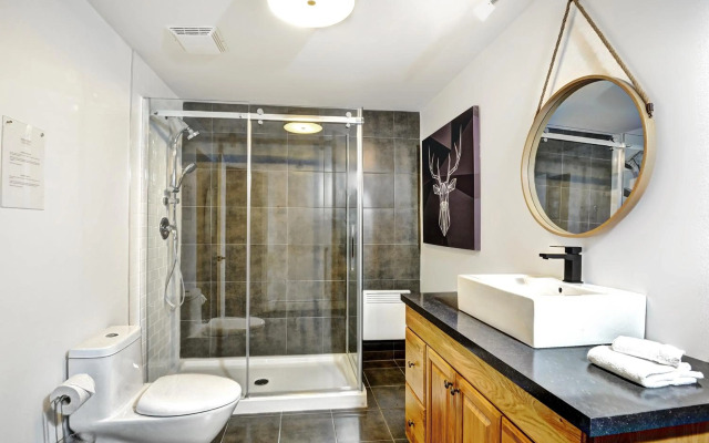 Chalets Alpins - 09 Chemin des Skieurs