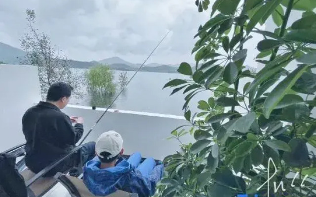 Vinawhisper·Purify（B&B）