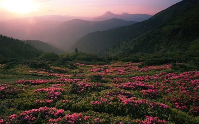 Whippoorwill - Two Bedroom Condo