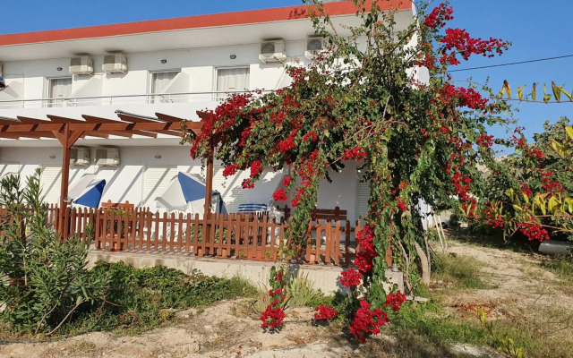 Irene Studios