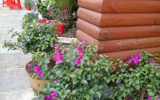 Enshi Chuqige Homestay