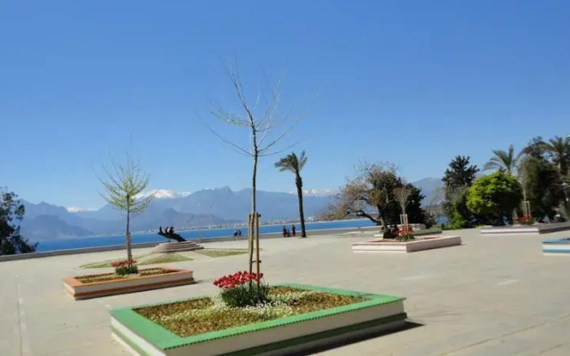Anadolu Pension