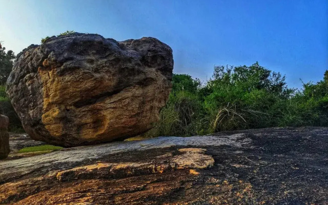 Yala Jungle Haven