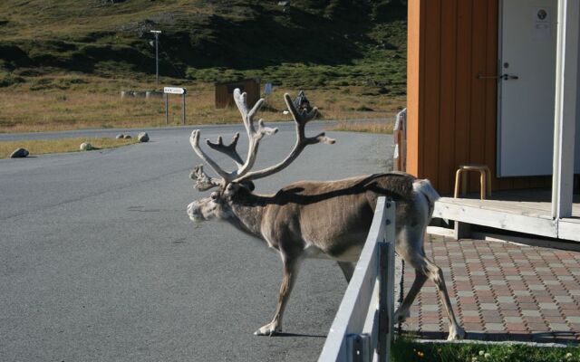 Nordkapp Camping