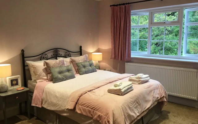 Leafy Suburban Bed & Breakfast