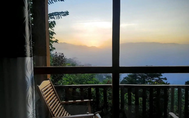 Rainforest Nature House