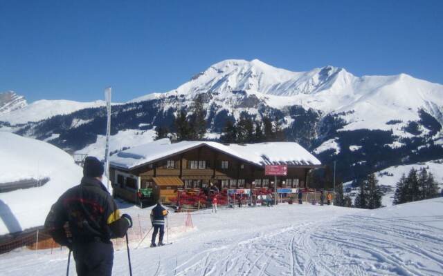 Charming Apartment in Lenk