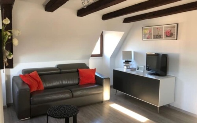 A L'ill - Apparts & Studios Strasbourg Hyper Centre