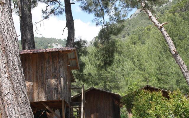 Saban Tree Houses