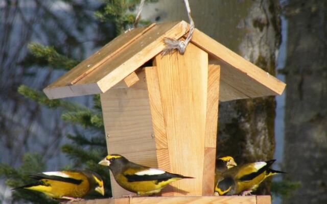 Silvern Lake Trail Bed & Breakfast