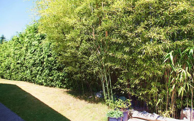 The Spot at Porpoise Bay