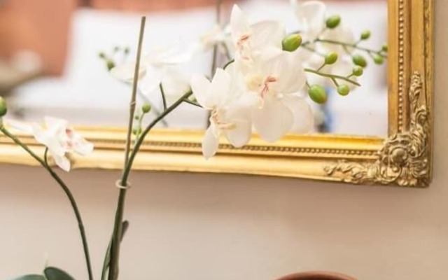 Vassilis Guest House
