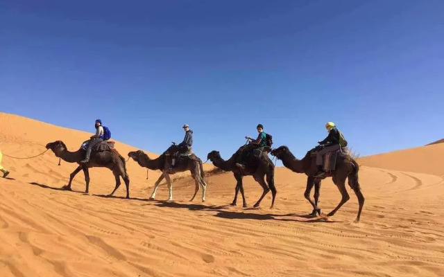 Overnight Camp Merzouga & Camel Tours