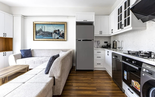 Central and Modern 2 1 Flat in Sisli