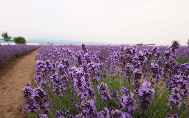 Furano Shiyuirin