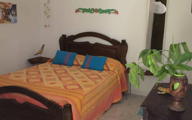 Posada Nativa Lizard House