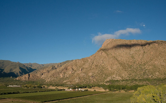 Viñas de Cafayate Wine Resort