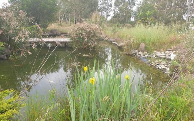 Roby's house, vivi la vacanza in relax (2L)