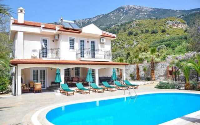 Villa Paradise Found