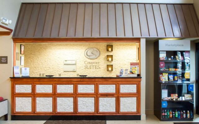 Comfort Suites Grand Rapids South