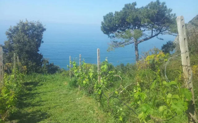 Apartment Camere Cinque Terre Andrea