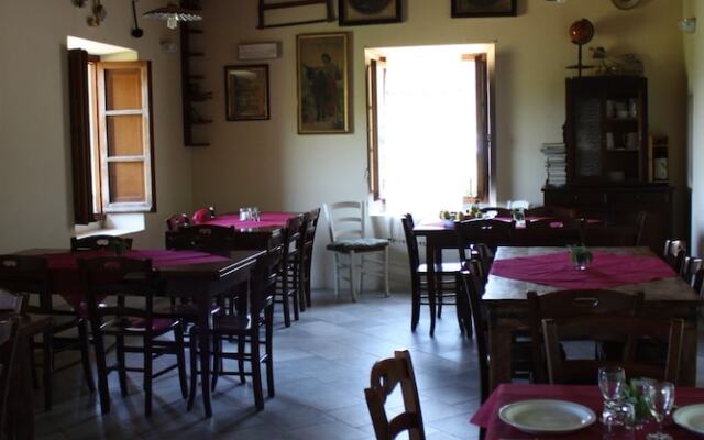 Le Chianine dei Tognoli