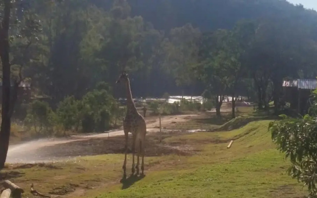 Ruah Park Camping & Outdoor